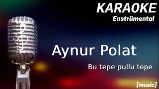 Karaoke Aynur Polat Bu tepe pullu tepe [upl. by Prisilla701]