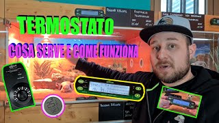 Termostato che cosa è e come funziona  Tutorial  Bassi Garden [upl. by Pattani500]