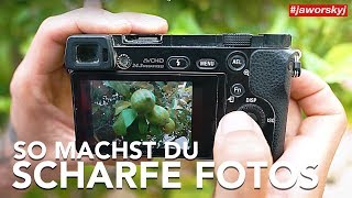 SCHARF STELLEN 📷 So FOKUSSIERST du RICHTIG  Fotografieren lernen [upl. by Acirtap568]