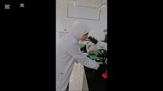 Activity of pharmacognosy 2 Quality control of herbal drug basil [upl. by Tarryn]