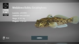 Fishing Planet Sander Baggersee Lake Germany Trophy Round Goby  Medalowa Babka Śniadogłowa fishing [upl. by Car]