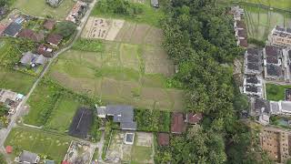 3000m2 Stunning Land With Ricefield View And River View In Ubud [upl. by Tisbe]