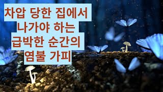 차압 당한 집에서 쫒겨나는 급박한 순간에 한 염불 [upl. by Frodina]