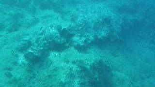 Diving on an ancient Greek shipwreck  100 BC [upl. by Merkley98]