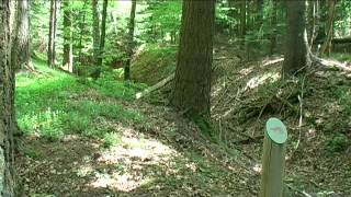 La tourbière du Mont Bar HauteLoire au printemps [upl. by Harland]