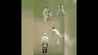 Shane Warne bowling action cricket [upl. by Mauchi]