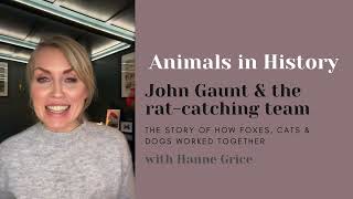 Animals in History  John Gaunt and his extraordinary ratcatching animal team [upl. by Aivirt]