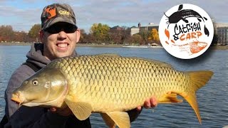 How to catch carp  carp fishing tips and techniques  carp bait [upl. by Saunderson993]