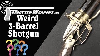 A Mystifying 3Barrel Percussion Shotgun [upl. by Pollitt]