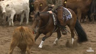 Rey Too Purdy Abilene OpenCC Finals 2020 [upl. by Towbin152]