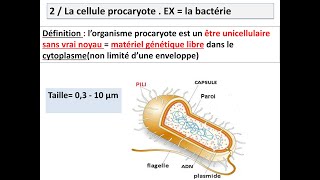 La cellule [upl. by Nylarat]