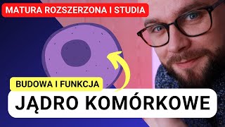 Budowa jądra komórkowego i jego funkcja [upl. by Inatirb436]