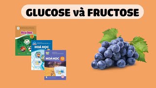 HÓA 12 GLUCOSE VÀ FRUCTOSE Sách Cánh Diều Chân Trời Sáng Tạo Kết Nối Tri Thức [upl. by Drus14]