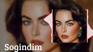 Sogindim Remix 2024  Emotional Depth by Derya Can  Original Track by Sezen Aksu [upl. by Jamie455]