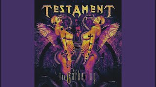 Testament  DNR B Tuning  Remaster [upl. by Ecined]