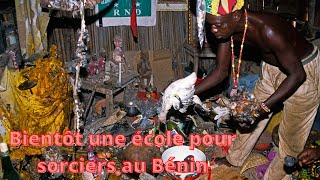 Sorcellerie Bientôt une école pour sorciers et un diplôme en sorcellerie au Bénin [upl. by Hgielhsa]