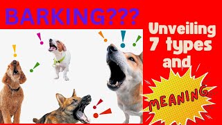 Demystifying Barking Unraveling the Meanings Behind 7 Types [upl. by Deer]