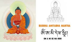 Buddha Amitabha Mantra recited by HH Namkhai Nyingpo Rinpoche 🙏🙏🙏 [upl. by Ybok]