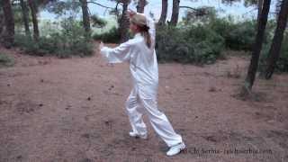 Tai Chi Chuan Yang style 24 Form [upl. by Aivatra]