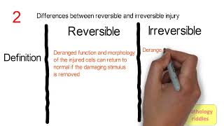 Differences between Reversible and Irreversible Injuries  Acute versus Chronic Inflammation [upl. by Eiramoj]