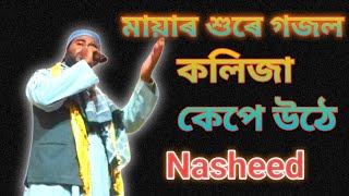 নবি মোৰ পৰশমনি নবিমুৰ শুনাৰ খনি বাংলা গজল 2024 মৌলানা আমিৰুল ইছলাম [upl. by Cathrin]