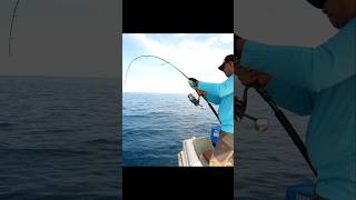 Reel Shimano Stella SW 8000 PG  Joran Daiwa Saltiga GX Vs Giant trevally Fish [upl. by Lessirg164]