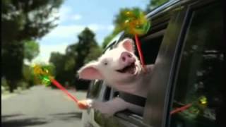 Geico Commercial Three Little Pigs Wee Weee Weeee [upl. by Yebloc957]