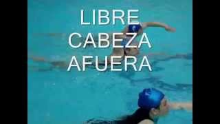 Técnicas de natación para salvamento acuático  PADI Lifeguard [upl. by Giule]