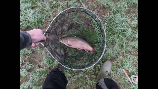 78 Another Great Days Fishing at Rockbourne Trout Fishery [upl. by Neirual]