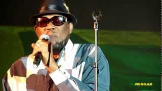 DERRICK MORGAN quotReggae Trainquot Garance Reggae Festival France 2012 [upl. by Wallache333]