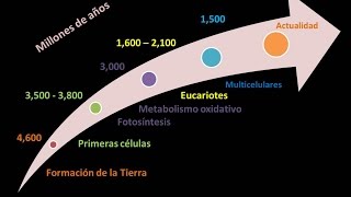 Origen de las células [upl. by Kedezihclem]