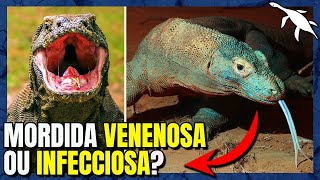 A BIOLOGIA INSANA do DRAGÃODEKOMODO Varanus komodensis [upl. by Tuhn]