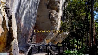 10km Hike Carnarvon Gorge Queensland  POV [upl. by Eiffub]