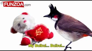 Google google My Bulbul whatsapp status video Funzoa Funny Google Song  Funzoa Funny Videos [upl. by Luise]