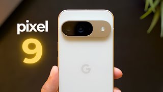 Polished Experience Google Pixel 9 Unboxing amp Impressions [upl. by Cannice288]