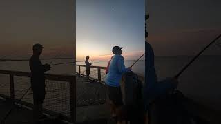 Live Navarre Beach Fishing Pier July 1st 2024 [upl. by Ettelohcin]