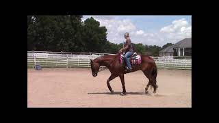 2018 162quothh Sorrel Gelding by These Irons Are Hot [upl. by Landan]