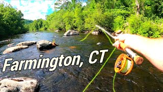 Summertime Trout On The Fly  Farmington River CT [upl. by Karel]