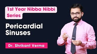 1st Year Nibba Nibbi Series  Pericardial Sinuses [upl. by Ubana282]