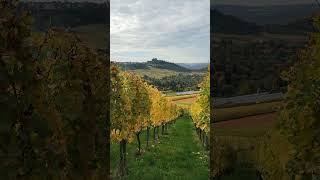 Grabkapelle auf dem Württemberg Sicht von Weinberg kapelle [upl. by Latsryc]