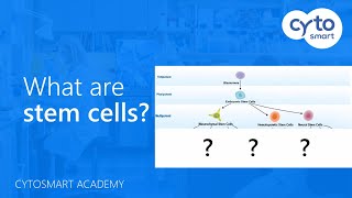 What are stem cells  CytoSMART Academy [upl. by Lombard]