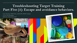 Escape and Avoidance Behavior Troubleshooting Target Training Lesson Five 5 [upl. by Keverne]