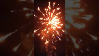 Orange  Blue 🔥🔥 feuerwerk vuurwerk fajerwerki fireworks firework pyro fuochidartificio [upl. by Thurmond633]