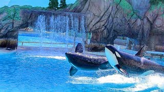 Full Orca Encounter Show Christmas Edition dec 2017 jan 2018 SeaWorld San Diego [upl. by Hoy]