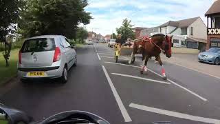 Bread n cheese Hill benfleet essex trotting horse racing road racing [upl. by Etac]