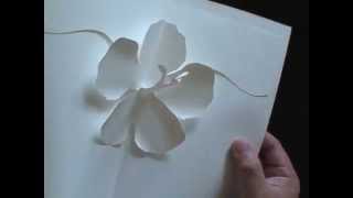 SCRAPBOOKING HIBISCUS Kirigami Popup Card [upl. by Ylrebmyk43]