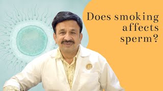 Does smoking affects sperm HINDI Dr kishore Nadkarni [upl. by Pippas]