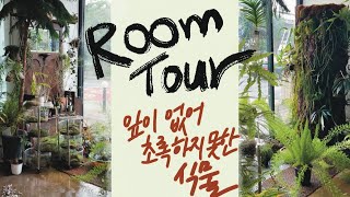 Room Tour잎 없이 사는 식물이 있다고 뿌리가 새로 자랄 때 뿌리가 어떻게 생겼는지 궁금하죠 [upl. by Erlene]