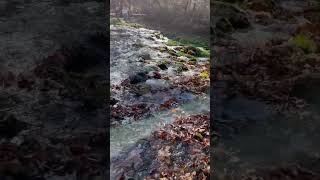 Pretty stream at Maramec Springs [upl. by Ewens996]