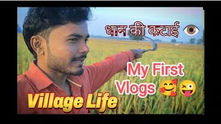 My First Vlog In My Village  firstvlog GaonKiZindagi vlogvlogsvillagelife love subscribe [upl. by Frangos492]